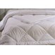 Foto 0: Edred�o Intense 160x220 
