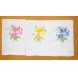 Foto 0: Pack 12 Panos de Cozinha